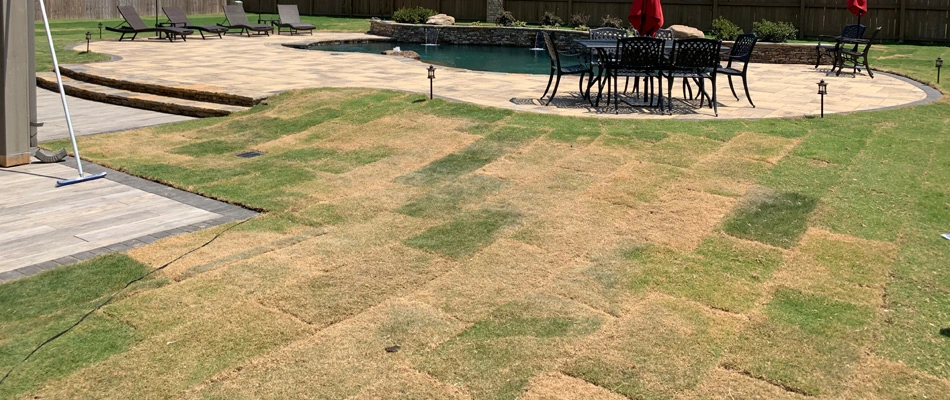 Sod squares installed for landscape near Memphis, TN.