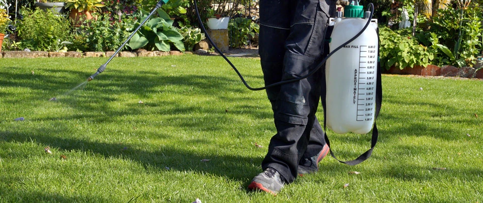 Technician applying flea control to lawn in Memphis, TN.