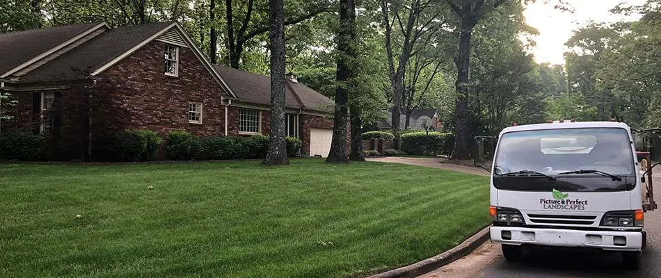 Thick, dark green lawn at a home in East Memphis, TN.