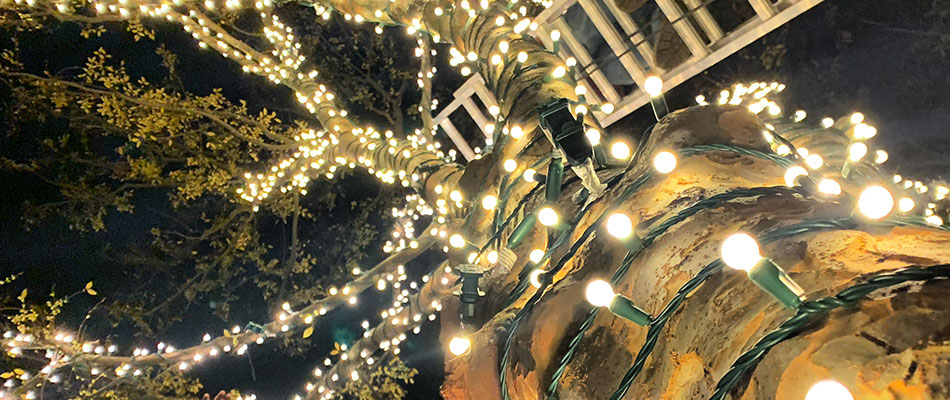 Holiday lighting tree wraps installed in Bartlett, TN.