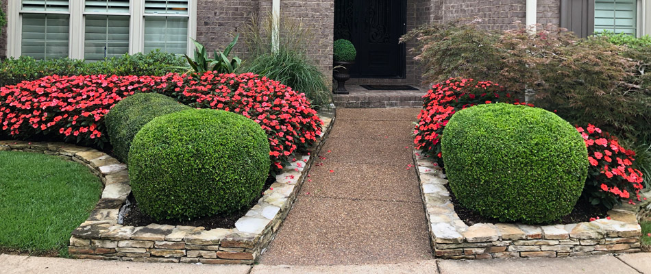 Trimmed bushes and plants in a landscape bed in Sea Isle Park, TN.