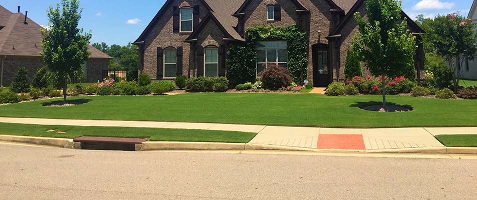 Upscale home in Collierville, TN with a newly seeded lawn.