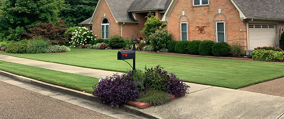 Weed-free front yard at a home in Lakeland, TN.
