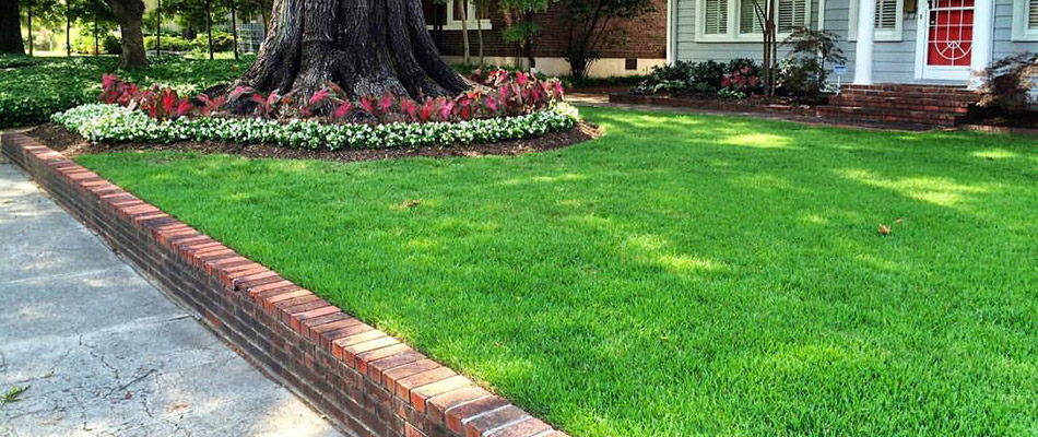 A healthy, weed-free, front yard on a property in Lakeland, TN.