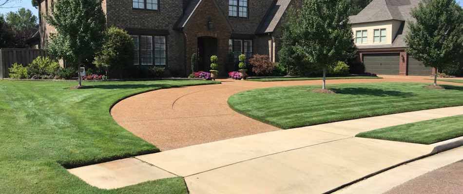 Well-maintained home lawn in a Germantown, TN neighborhood.