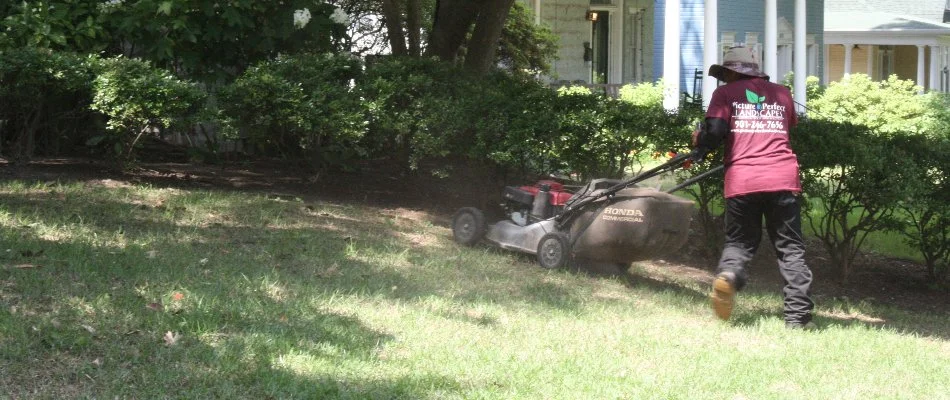 Worker pushing a mower on a lawn in Memphis, TN.