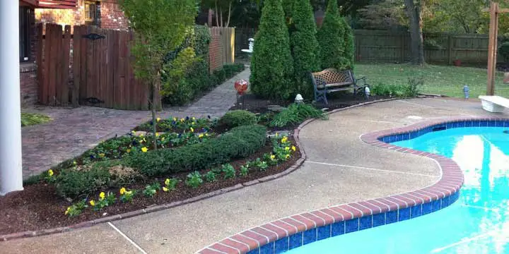 Landscape bed renovation near Midtown Memphis, TN.