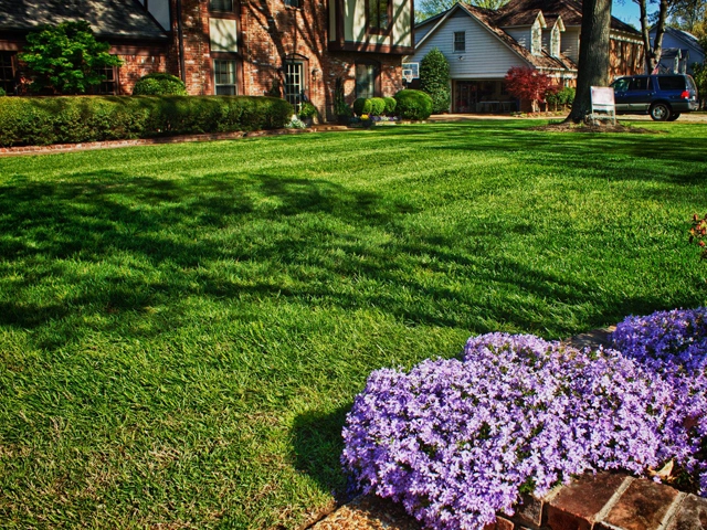 Healthy lawn on a property in Memphis, TN.