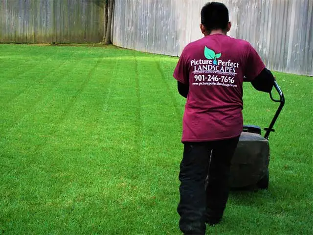 Lawn mowing services at a Midtown Memphis, TN home.