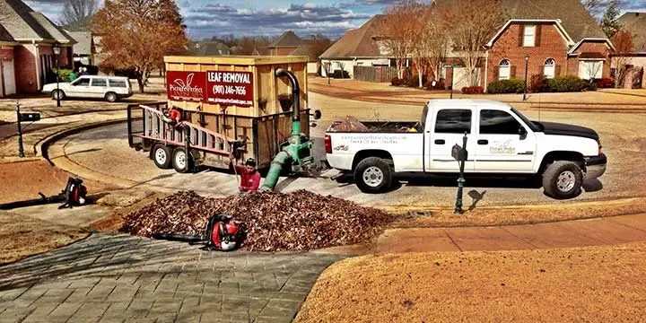 Picture Perfect Landscapes leaf removal trailer and work truck clearing leaves in Lakeland, TN.