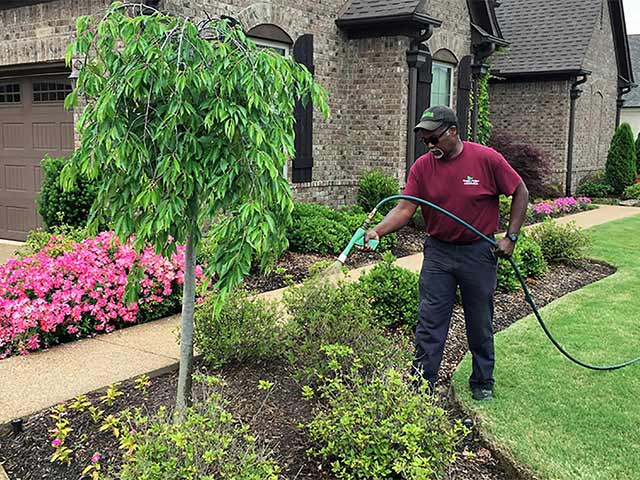 Weed control treatments applied at a Midtown Memphis, TN home.